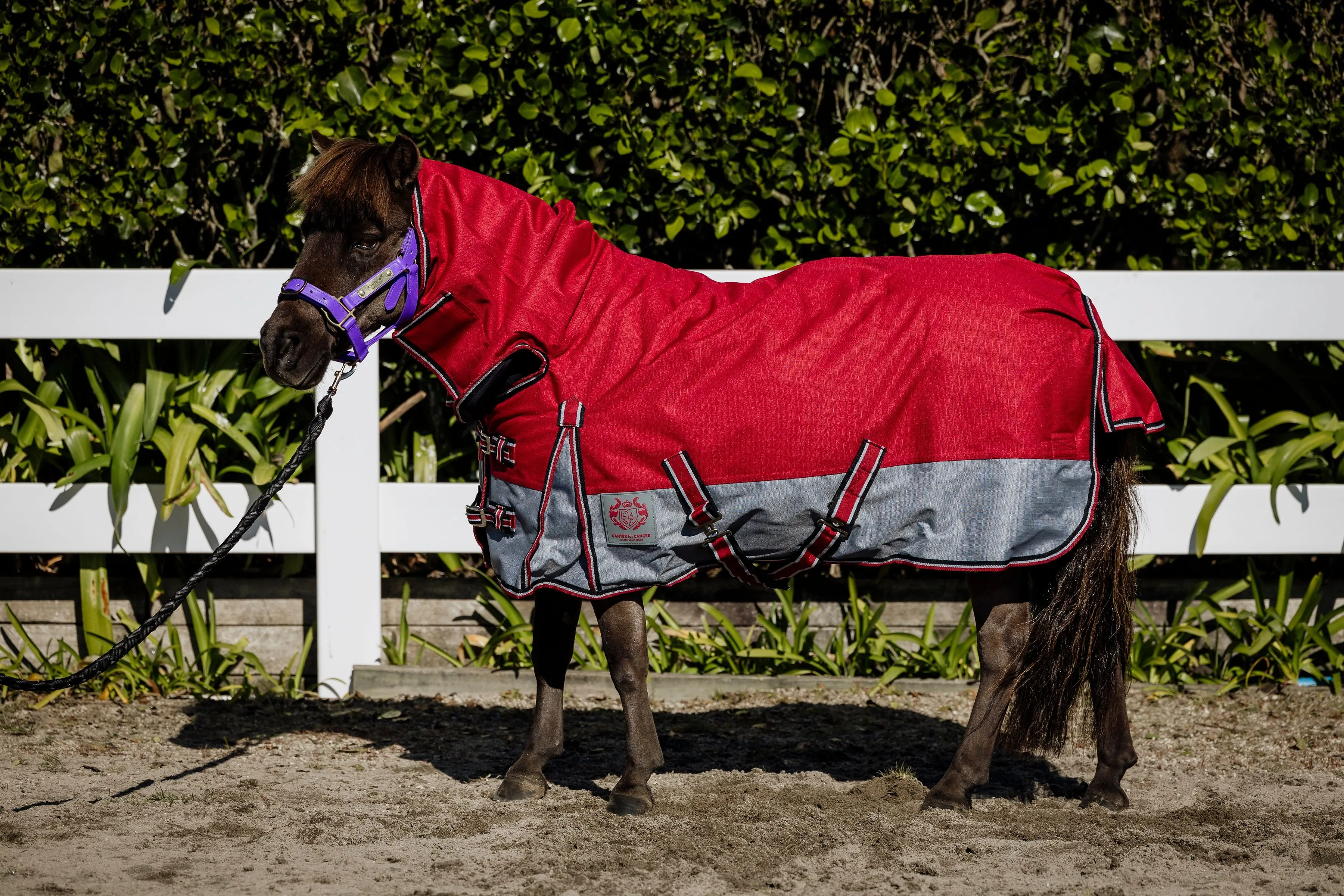 2024 1200D No Fill Red/Grey Combo (Pony)