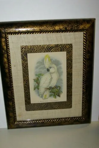 21,5"X 17” 1955 GOULD  PINK COCKATOO BIRD FOLIO LITHOGRAPH FRAMED IN SIGNED DETAILED ARTIST HAND PAINTED FRAME AND MAT TO ENHANCE THE ART WITHIN GORGEOUS DFPN80A DESIGNER WALL ART DÉCOR