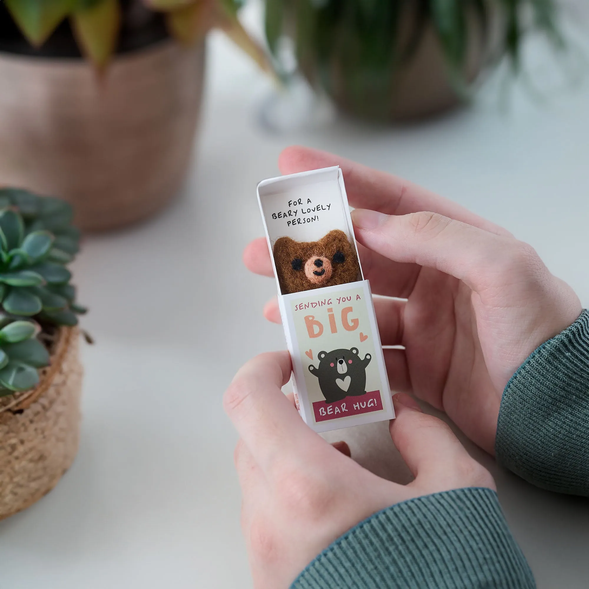 Big Bear Hug In A Matchbox