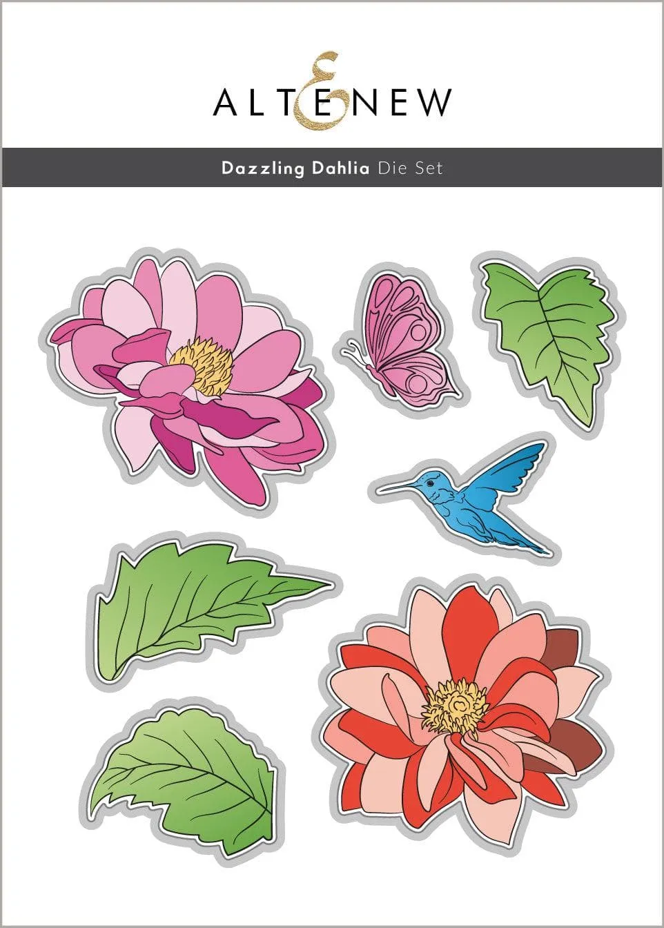 Dazzling Dahlia