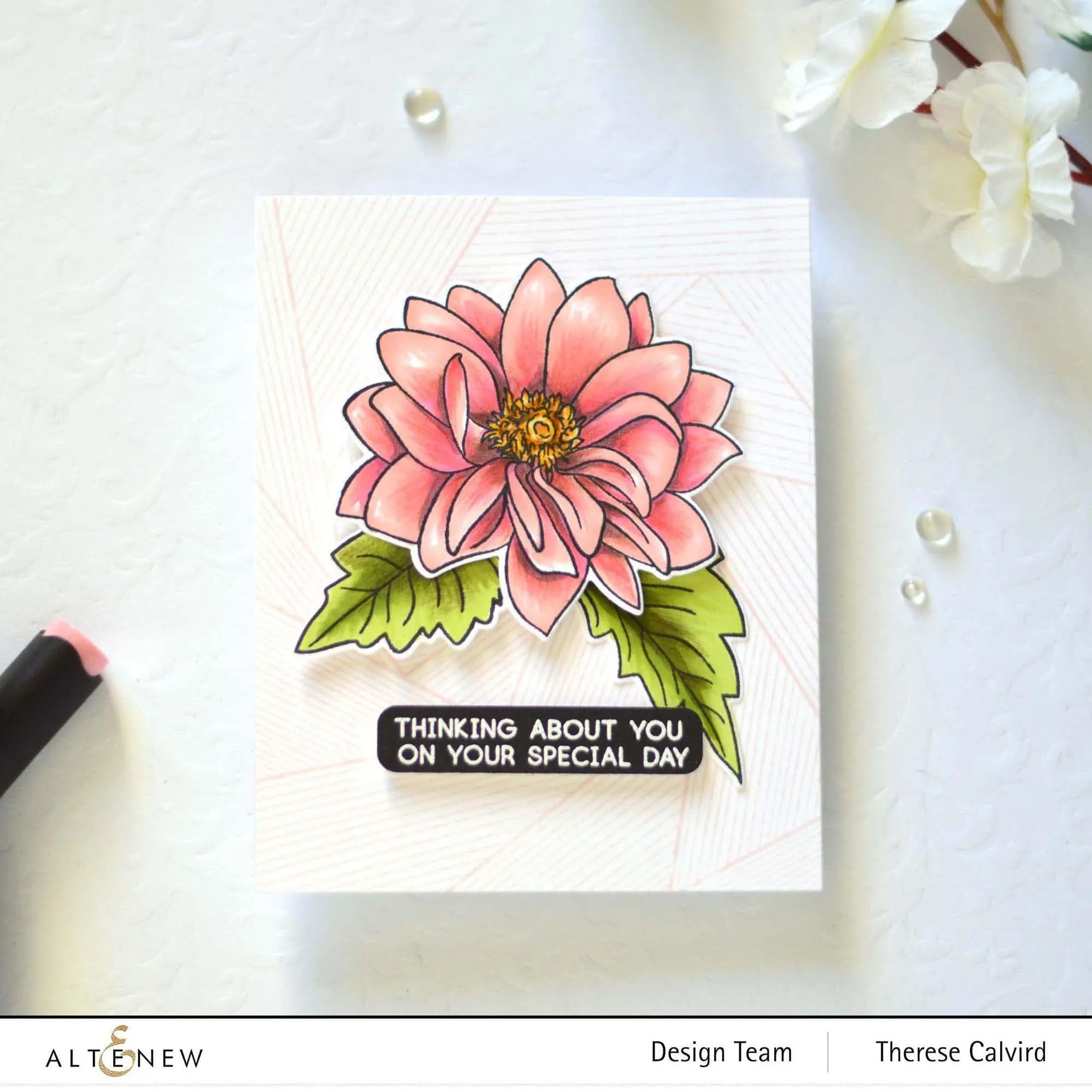 Dazzling Dahlia