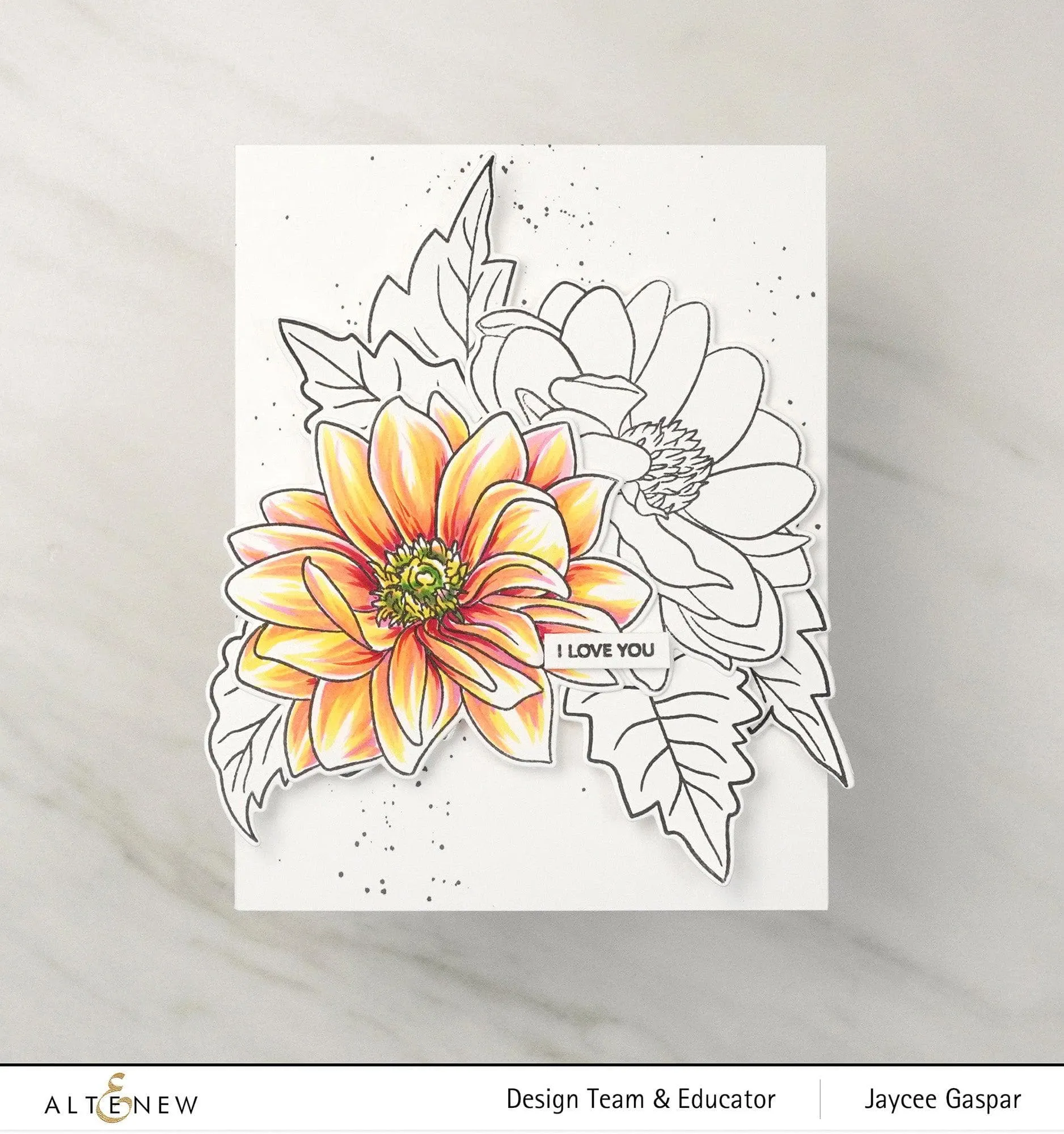 Dazzling Dahlia