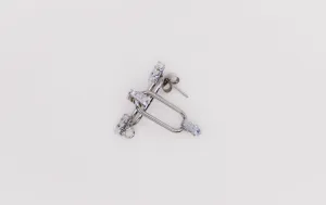 Dazzling Elegance Earrings