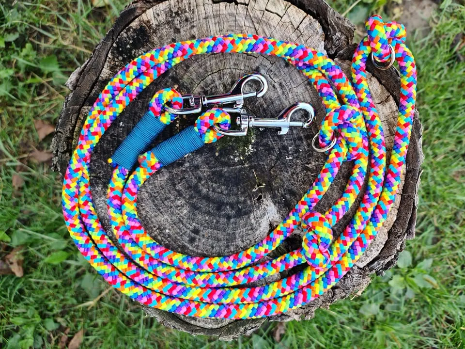 Hands Free Rainbow Dog Leash