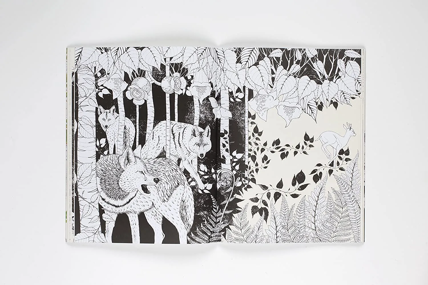 INTO THE WILD COLORING BOOKHA