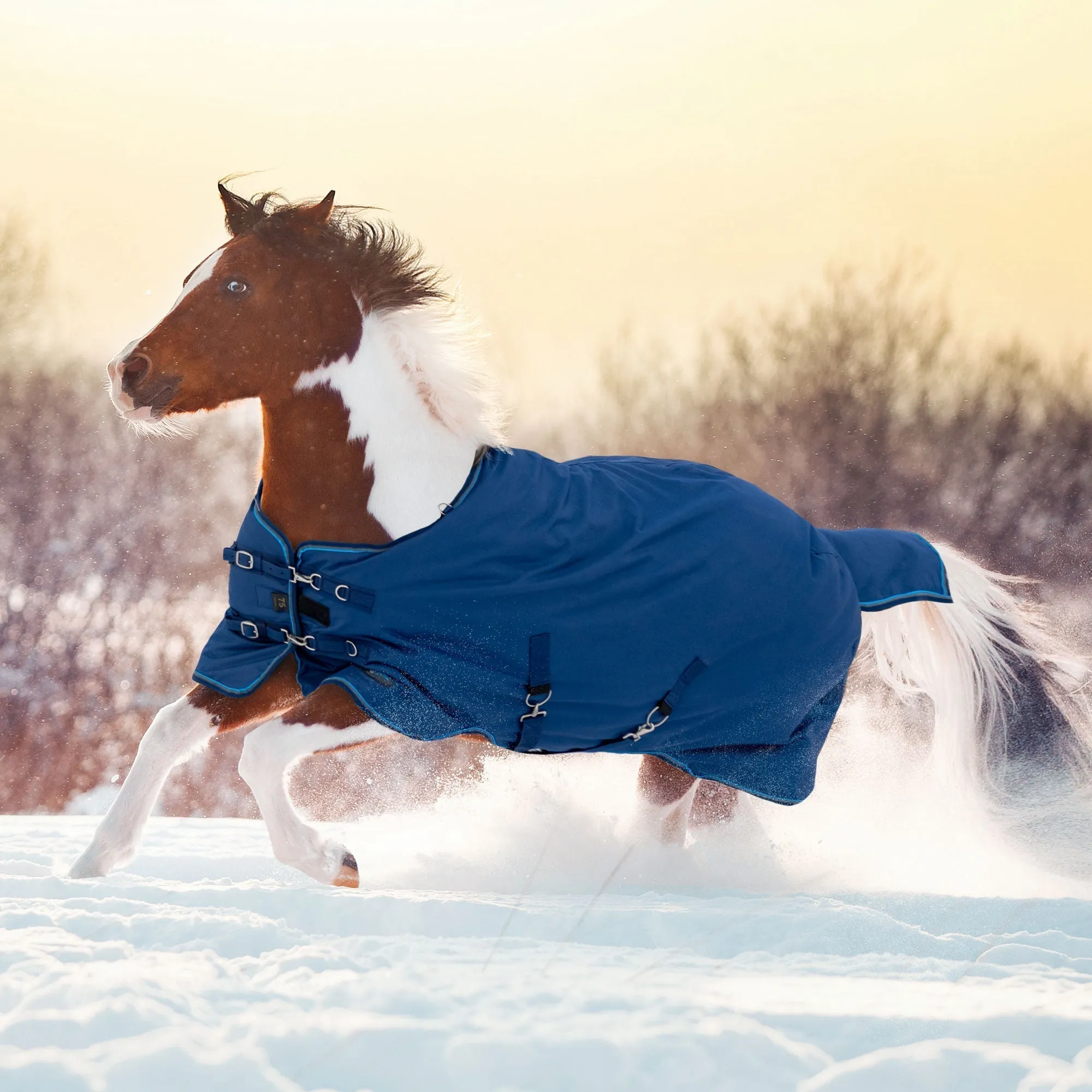 Kensington Bundle - Pony Mid Weight Turnout & Blanket Bag