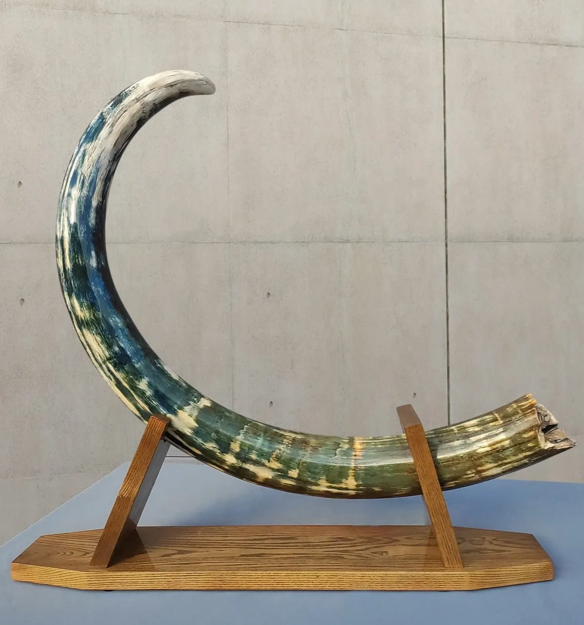 Rare Blue Mammoth Tusk, 8'2"