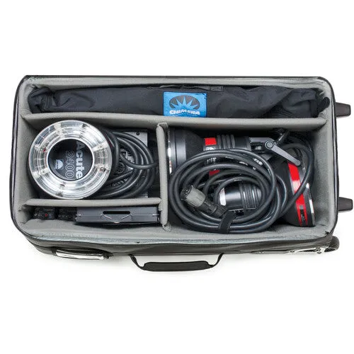THINK TANK LOGISTICS MANAGER 30 V2.0 LARGE ROLLER